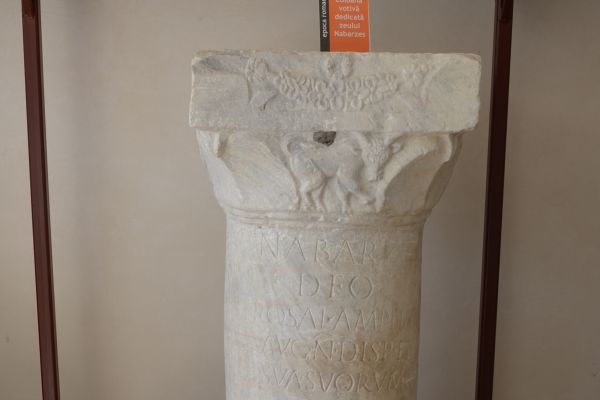 lapidariu-036BA9D0E87-1822-0AA2-4C89-6A6DD48534D3.jpg