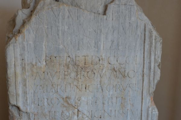 lapidariu-04075DF2584-6022-C337-E502-6043744383C3.jpg