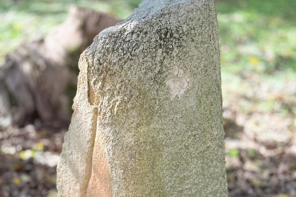 565638320-1257317879744248-7939790104487648799-nBB151218-4173-5363-F13E-6F0DAEABEC1D.jpg