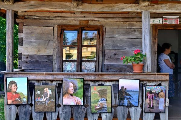 pictopoezia-brad-2026-392FBC3015-D7C7-95EA-25A4-86F34D71B552.jpg
