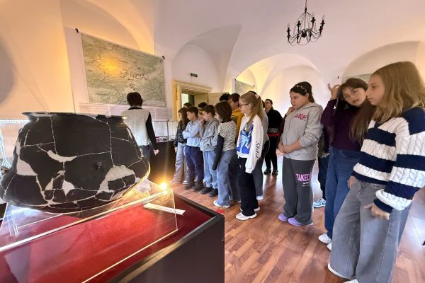 atelier-pedagogie-muzeala20261020-544E639CB-0EFF-5212-A00A-BBE9069D1D1A.jpg