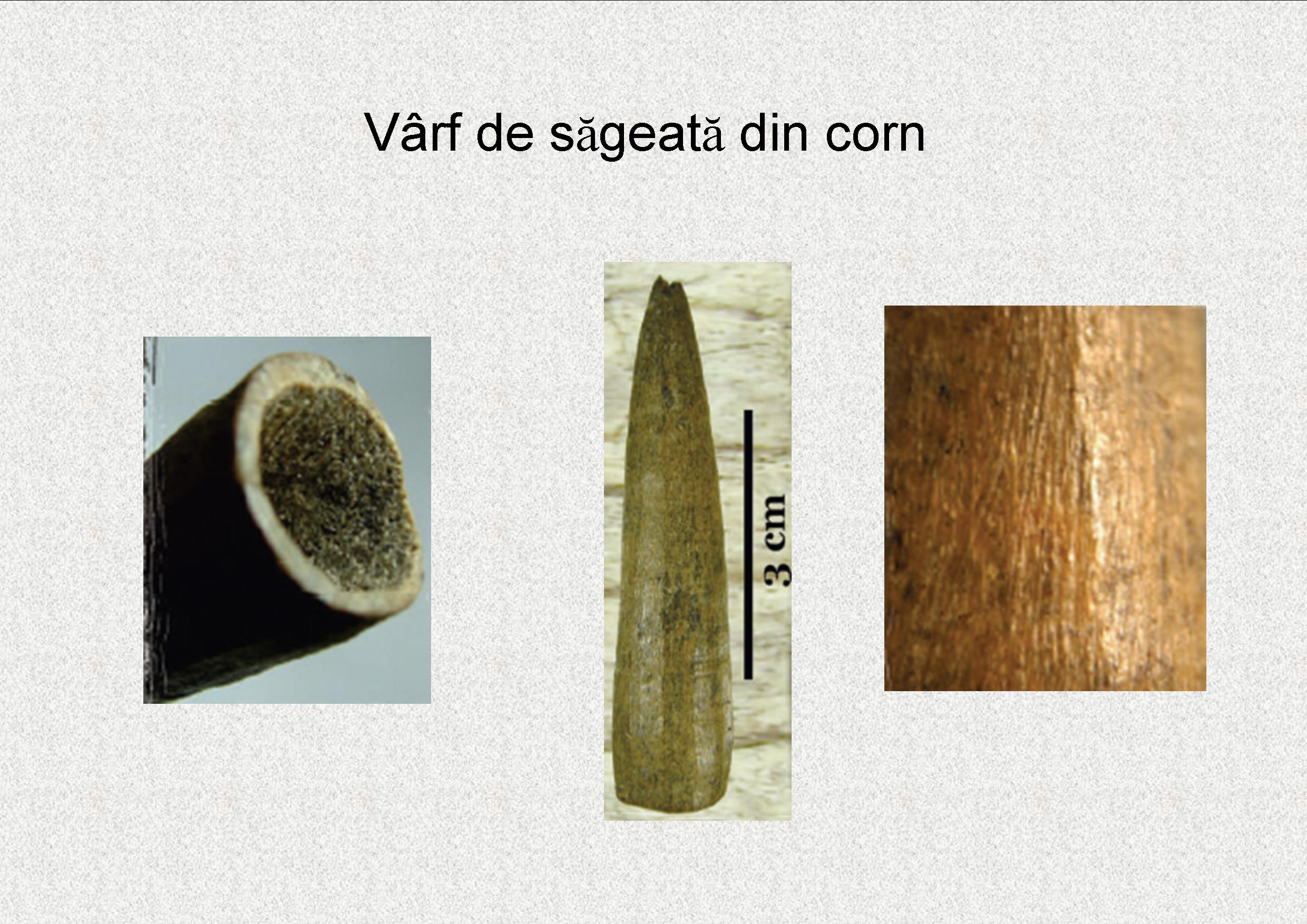 foto1.jpg