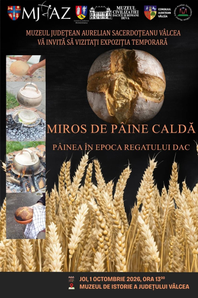 Afis_expo_Painea_-_Valcea